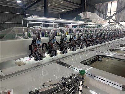 Four Beads Dual Sequence Embroidery Machine